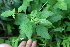  ( - BioBot05343)  @11 [ ] Copyright (2010) Unspecified Unspecified