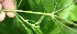  ( - BioBot05343)  @11 [ ] Copyright (2010) Unspecified Unspecified