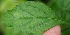  ( - BioBot05343)  @11 [ ] Copyright (2010) Unspecified Unspecified