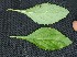  ( - BioBot05343)  @11 [ ] Copyright (2010) Unspecified Unspecified