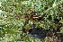  ( - BioBot05350)  @11 [ ] Copyright (2010) Unspecified Unspecified