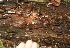  ( - BioBot05350)  @11 [ ] Copyright (2010) Unspecified Unspecified