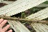  ( - BioBot05350)  @11 [ ] Copyright (2010) Unspecified Unspecified