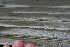  ( - BioBot05350)  @11 [ ] Copyright (2010) Unspecified Unspecified