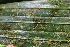  ( - BioBot05350)  @11 [ ] Copyright (2010) Unspecified Unspecified