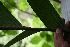  ( - BioBot05351)  @11 [ ] Copyright (2010) Unspecified Unspecified