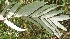  ( - BioBot05351)  @11 [ ] Copyright (2010) Unspecified Unspecified
