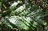  ( - BioBot05351)  @11 [ ] Copyright (2010) Unspecified Unspecified
