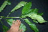  ( - BioBot05364)  @11 [ ] CreativeCommons - Attribution Non-Commercial Share-Alike (2010) Daniel H. Janzen Guanacaste Dry Forest Conservation Fund