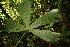  ( - BioBot05564)  @11 [ ] CreativeCommons - Attribution Non-Commercial Share-Alike (2010) Daniel H. Janzen Guanacaste Dry Forest Conservation Fund