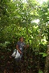  ( - BioBot05679)  @11 [ ] CreativeCommons - Attribution Non-Commercial Share-Alike (2010) Daniel H. Janzen Guanacaste Dry Forest Conservation Fund