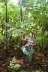  ( - BioBot05681)  @11 [ ] CreativeCommons - Attribution Non-Commercial Share-Alike (2010) Daniel H. Janzen Guanacaste Dry Forest Conservation Fund