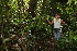  ( - BioBot06219)  @11 [ ] CreativeCommons - Attribution Non-Commercial Share-Alike (2010) Daniel H. Janzen Guanacaste Dry Forest Conservation Fund