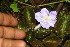  ( - BioBot06227)  @11 [ ] CreativeCommons - Attribution Non-Commercial Share-Alike (2010) Daniel H. Janzen Guanacaste Dry Forest Conservation Fund
