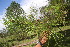  ( - BioBot06727)  @11 [ ] CreativeCommons - Attribution Non-Commercial Share-Alike (2010) Daniel H. Janzen Guanacaste Dry Forest Conservation Fund