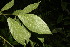  ( - BioBot06812)  @11 [ ] CreativeCommons - Attribution Non-Commercial Share-Alike (2010) Daniel H. Janzen Guanacaste Dry Forest Conservation Fund