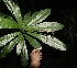  ( - BioBot10000)  @11 [ ] Copyright (2010) Unspecified Unspecified