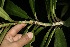  ( - BioBot10000)  @11 [ ] Copyright (2010) Unspecified Unspecified