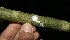  ( - BioBot10000)  @11 [ ] Copyright (2010) Unspecified Unspecified