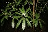  ( - BioBot10001)  @11 [ ] Copyright (2010) Unspecified Unspecified