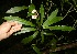  ( - BioBot10001)  @11 [ ] Copyright (2010) Unspecified Unspecified