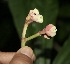  ( - BioBot10001)  @11 [ ] Copyright (2010) Unspecified Unspecified