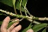  ( - BioBot10001)  @11 [ ] Copyright (2010) Unspecified Unspecified
