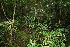  ( - BioBot10002)  @11 [ ] Copyright (2010) Unspecified Unspecified