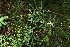  ( - BioBot10002)  @11 [ ] Copyright (2010) Unspecified Unspecified