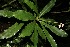  ( - BioBot10002)  @11 [ ] Copyright (2010) Unspecified Unspecified