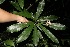  ( - BioBot10002)  @11 [ ] Copyright (2010) Unspecified Unspecified