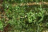  ( - BioBot10007)  @11 [ ] Copyright (2010) Unspecified Unspecified