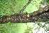  ( - BioBot10034)  @11 [ ] Copyright (2010) Unspecified Unspecified