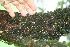  ( - BioBot10034)  @11 [ ] Copyright (2010) Unspecified Unspecified