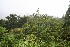  ( - BioBot10035)  @11 [ ] Copyright (2010) Unspecified Unspecified