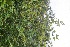  ( - BioBot10035)  @11 [ ] Copyright (2010) Unspecified Unspecified
