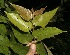  ( - BioBot10035)  @11 [ ] Copyright (2010) Unspecified Unspecified