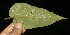  ( - BioBot10035)  @11 [ ] Copyright (2010) Unspecified Unspecified
