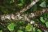  ( - BioBot10035)  @11 [ ] Copyright (2010) Unspecified Unspecified