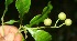  ( - BioBot10069)  @11 [ ] Copyright (2010) Unspecified Unspecified