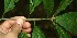  ( - BioBot10075)  @11 [ ] Copyright (2010) Unspecified Unspecified