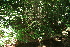  ( - BioBot10076)  @11 [ ] CreativeCommons - Attribution Non-Commercial Share-Alike (2010) Daniel H. Janzen Guanacaste Dry Forest Conservation Fund