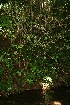  ( - BioBot10076)  @11 [ ] Copyright (2010) Unspecified Unspecified