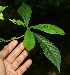  ( - BioBot10076)  @11 [ ] Copyright (2010) Unspecified Unspecified