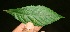  ( - BioBot10076)  @11 [ ] Copyright (2010) Unspecified Unspecified
