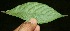  ( - BioBot10076)  @11 [ ] Copyright (2010) Unspecified Unspecified