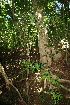  ( - BioBot10082)  @11 [ ] Copyright (2010) Unspecified Unspecified