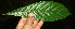  ( - BioBot10082)  @11 [ ] Copyright (2010) Unspecified Unspecified