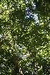  ( - BioBot10083)  @11 [ ] Copyright (2010) Unspecified Unspecified