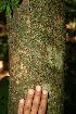  ( - BioBot10083)  @11 [ ] Copyright (2010) Unspecified Unspecified